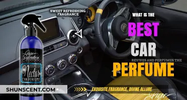 Car Perfumes: Find the Perfect Scent for Your Ride