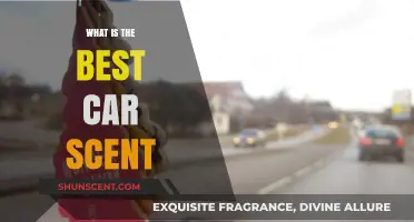 Discover the Ultimate Car Scent: Fresh, Inviting, and Long-Lasting Aromas