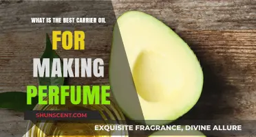 Carrier Oils: The Foundation of Your Perfect Perfume