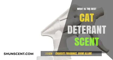 Effective Cat Deterrent Scents: Keep Felines Away with These Aromas