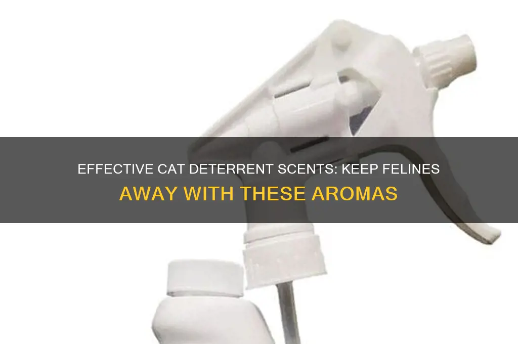 what is the best cat deterant scent