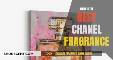 The Iconic Chanel Fragrance: Which One Suits You Best?