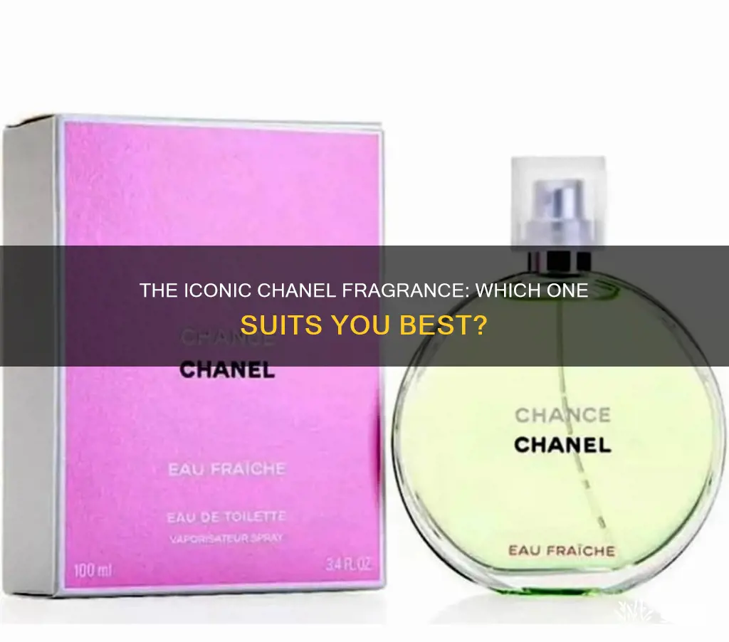 what is the best chanel fragrance