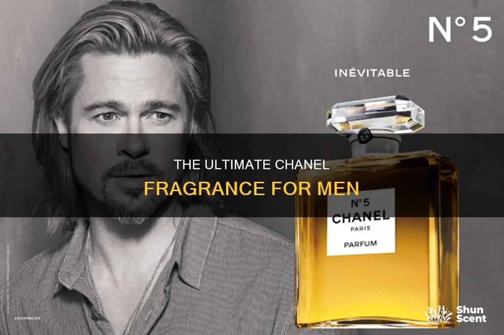 what is the best chanel perfume for men