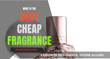 Affordable Scents: Finding the Best Cheap Fragrance