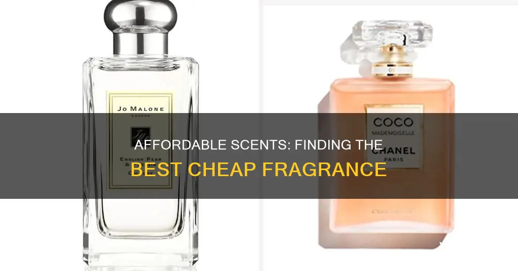 what is the best cheap fragrance