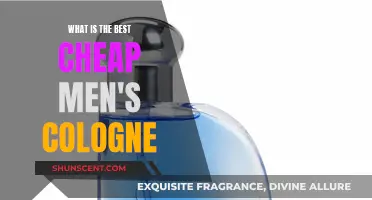 Affordable Scents: Best Cheap Men's Colognes for Any Budget