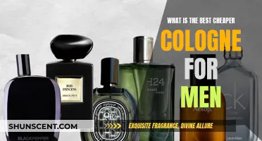 Affordable Fragrances: Men's Cologne on a Budget