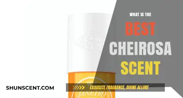 Discover the Best Cheirosa Scent for Your Signature Fragrance