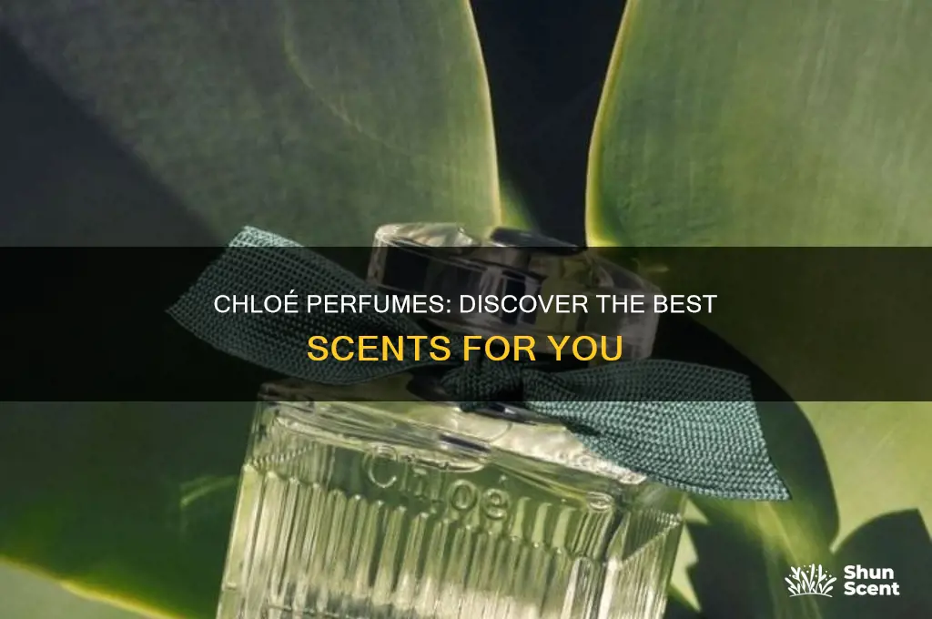 what is the best chloe perfume