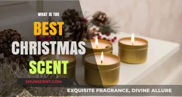 Discover the Perfect Christmas Scent to Warm Your Holiday Season