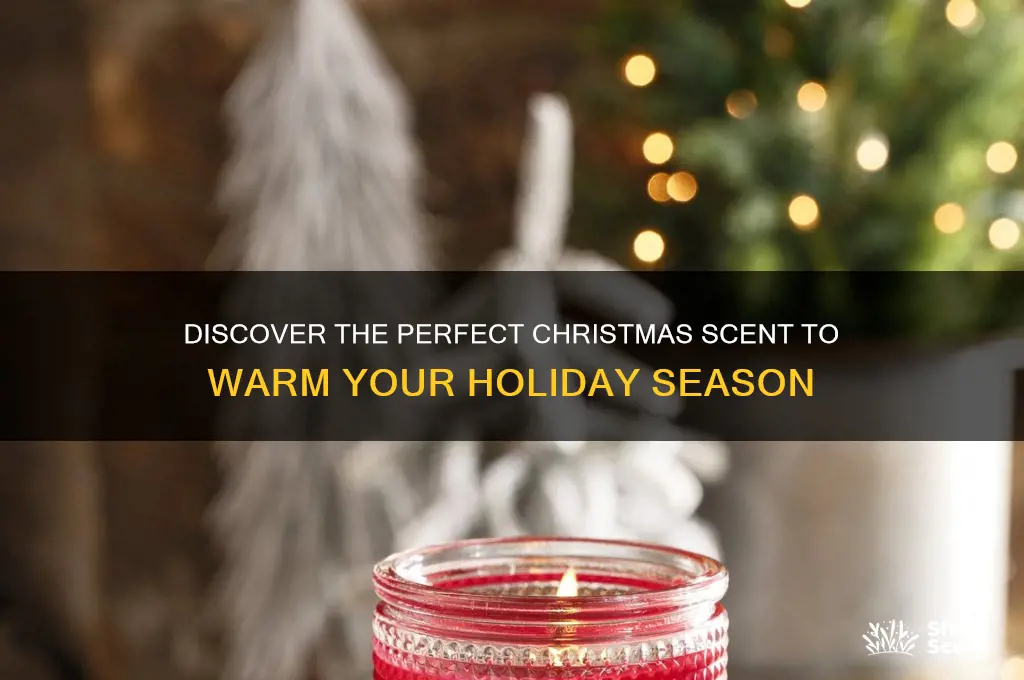 what is the best christmas scent
