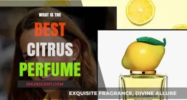 Citrus Scents: Best Perfumes for Summer