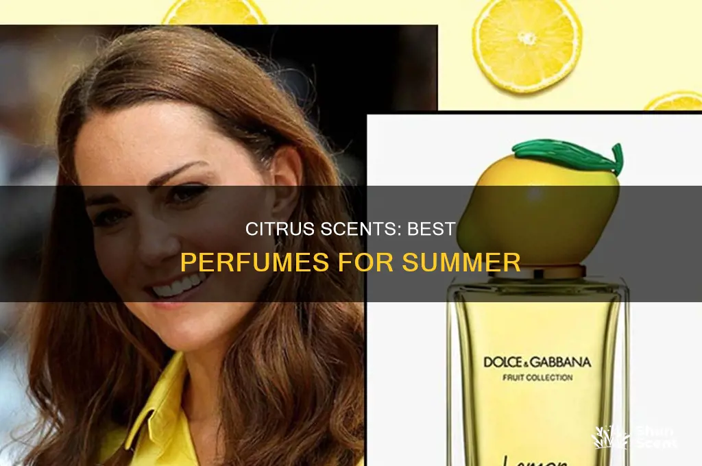 what is the best citrus perfume