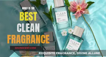 The Best Clean Fragrances: A Guide to Fresh Scents