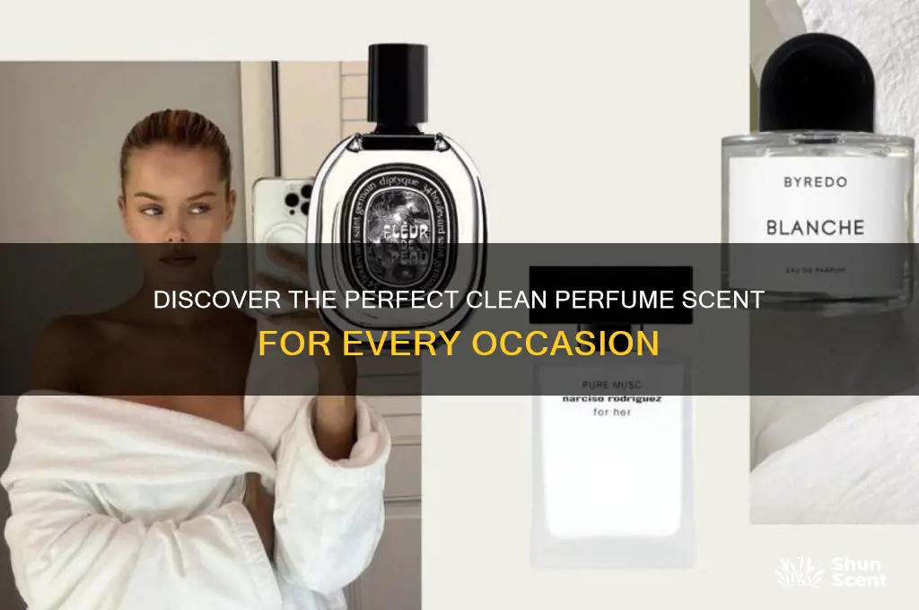 what is the best clean perfume scent