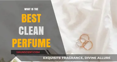 Clean Perfume: Discover the Best Scents for You