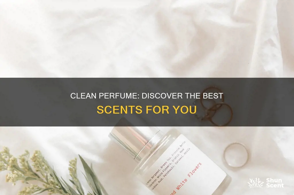 what is the best clean perfume