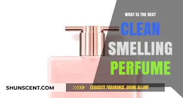 Clean Scents: Best Fresh Fragrances for Women