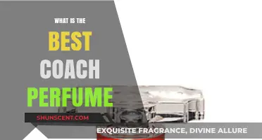 Coach Perfumes: Top Picks and Why