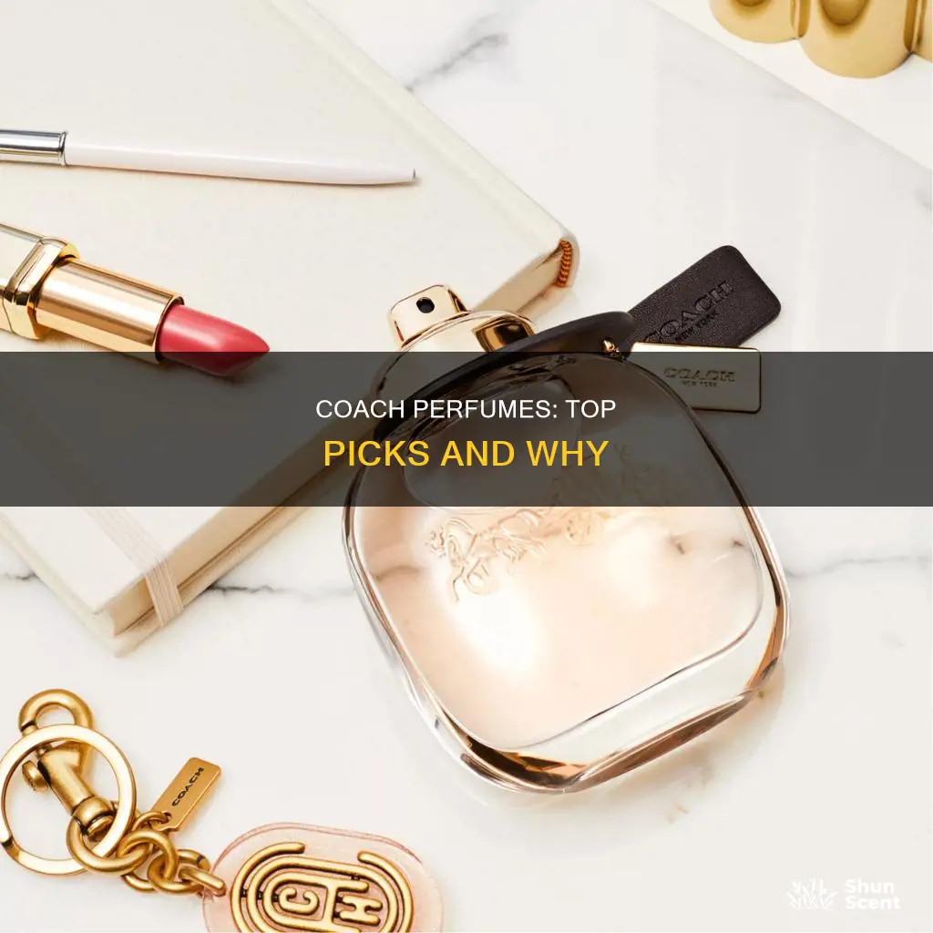 what is the best coach perfume