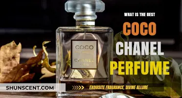 Chanel's Best-Selling Perfumes: Our Top Picks