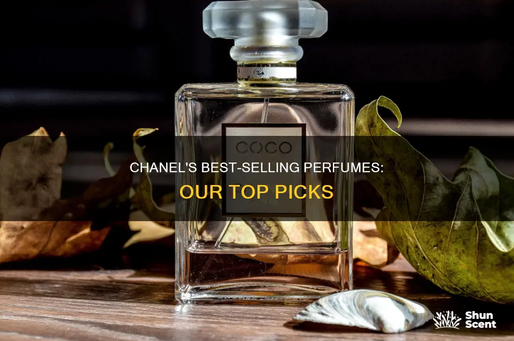 what is the best coco chanel perfume
