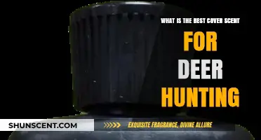 Top Deer Hunting Cover Scents: Enhance Stealth and Success in the Woods