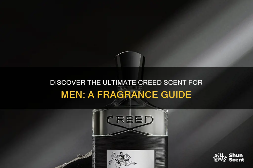 what is the best creed scent for men