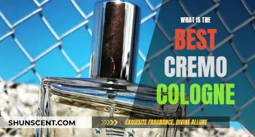 Cremo's Finest: Discover the Best Colognes for Men