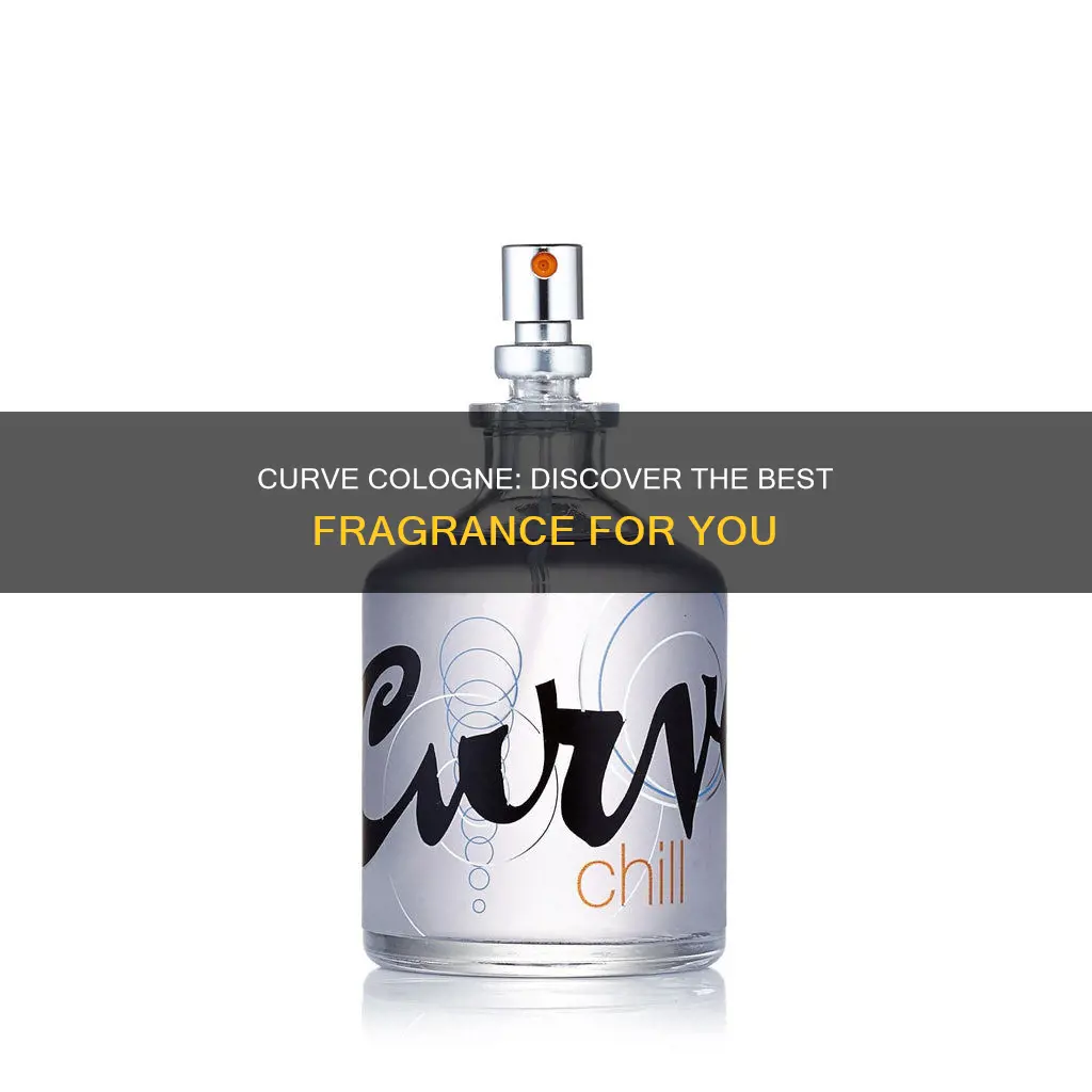 what is the best curve cologne