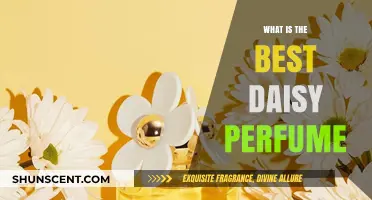 The Best Daisy Fragrances: Our Top Picks