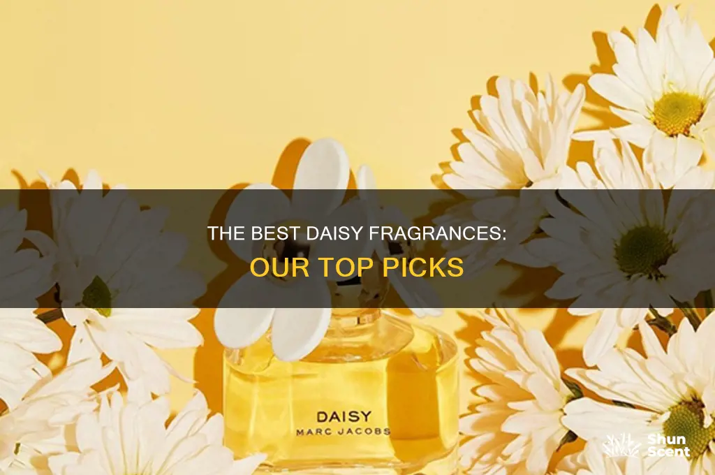 what is the best daisy perfume