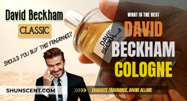 Beckham's Signature Scents: Finding Your Favorite Fragrance