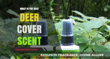 Top Deer Cover Scents: Enhance Your Hunting Success with Proven Aromas