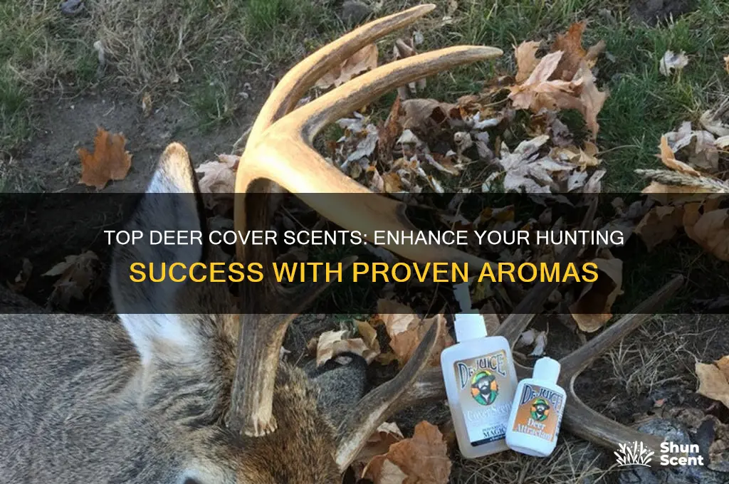 what is the best deer cover scent