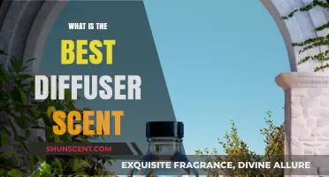 Discover the Perfect Diffuser Scent for Your Home and Mood