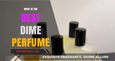Dime Perfume: The Best Scents for Your Money