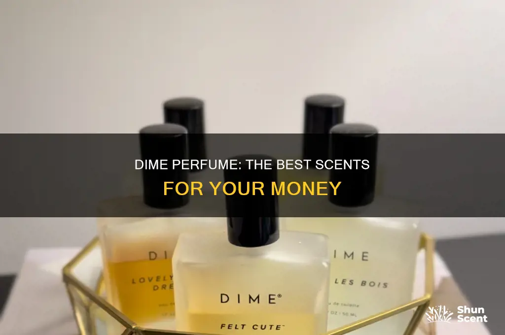 what is the best dime perfume