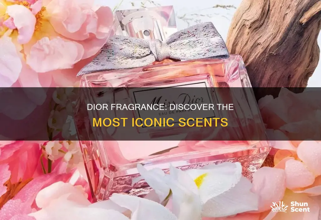 what is the best dior fragrance