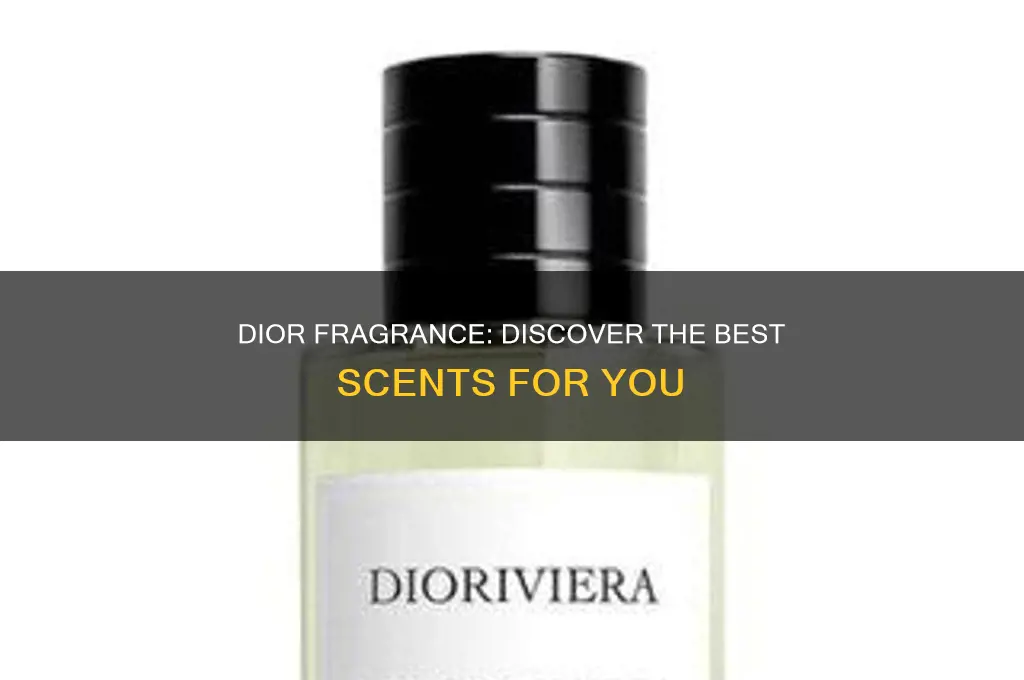 what is the best dior perfume