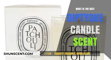 Discover the Most Luxurious Diptyque Candle Scent for Your Home