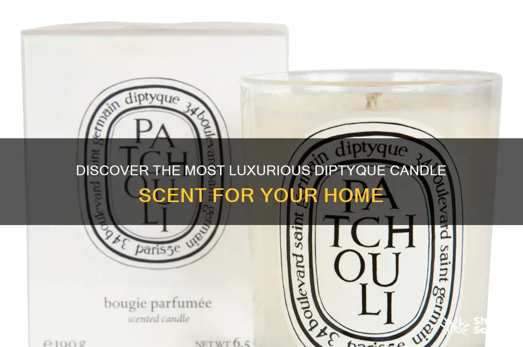 what is the best diptyque candle scent