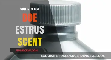 Top Doe Estrus Scents for Effective Deer Hunting Success