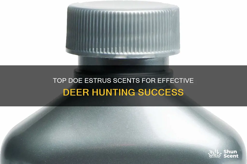 what is the best doe estrus scent