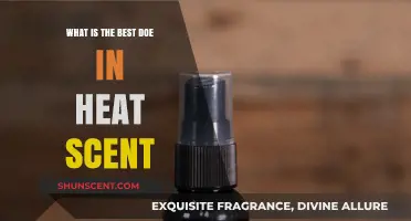 Top Doe in Heat Scents: Enhance Your Hunting Success Today