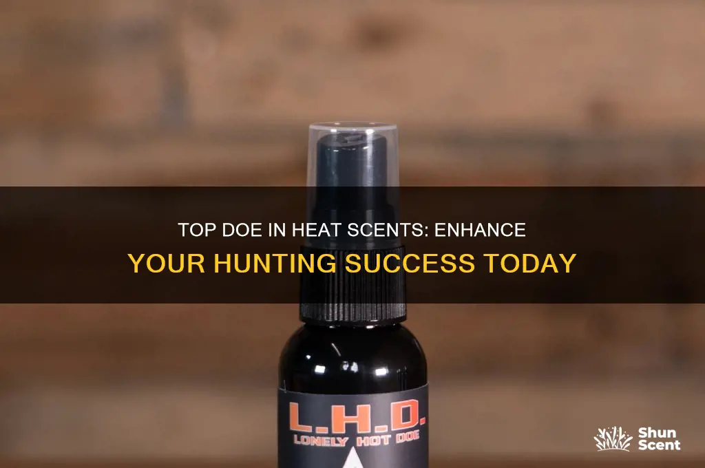 what is the best doe in heat scent