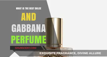 Explore Dolce & Gabbana's Most Iconic Fragrances