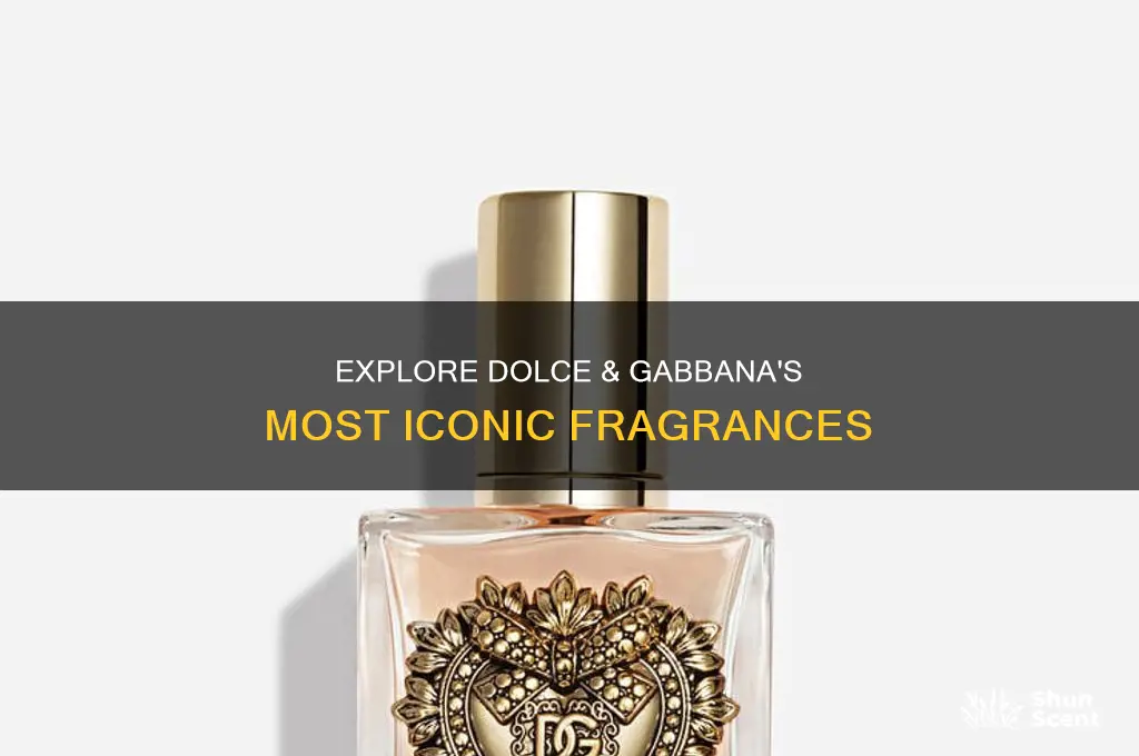 what is the best dolce and gabbana perfume