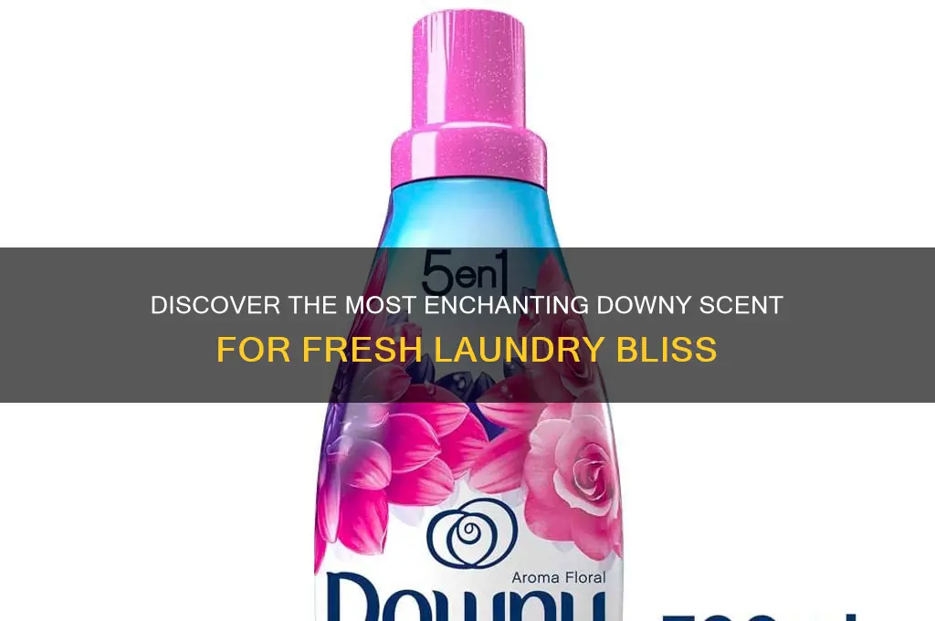 what is the best downy scent